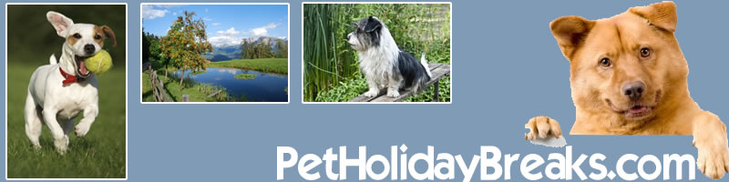 Pet Friendly Holidays